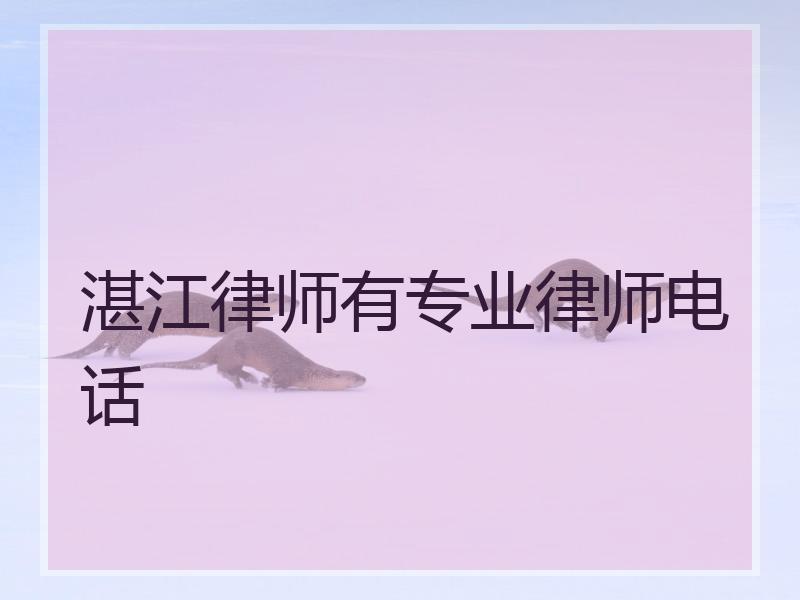 湛江律师有专业律师电话