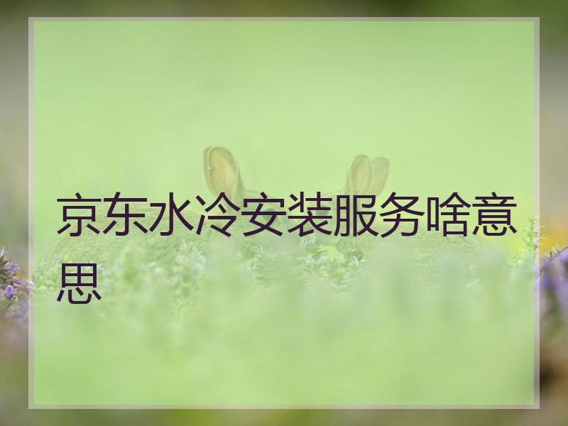 京东水冷安装服务啥意思