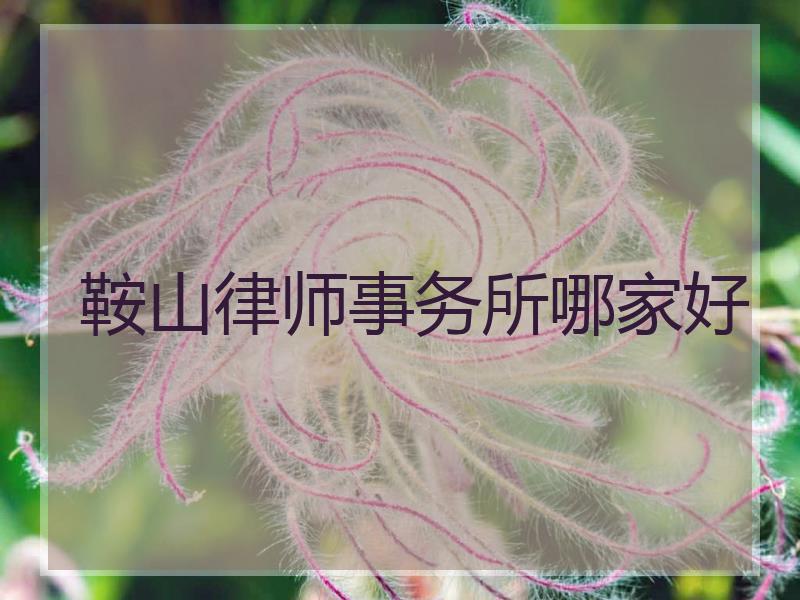 鞍山律师事务所哪家好