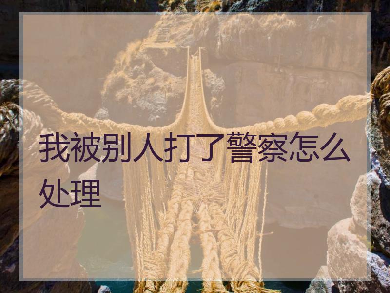 我被别人打了警察怎么处理