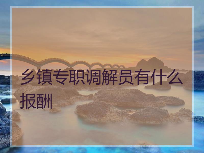 乡镇专职调解员有什么报酬