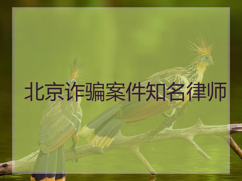 北京诈骗案件知名律师