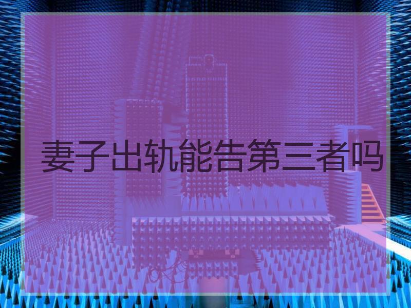 妻子出轨能告第三者吗