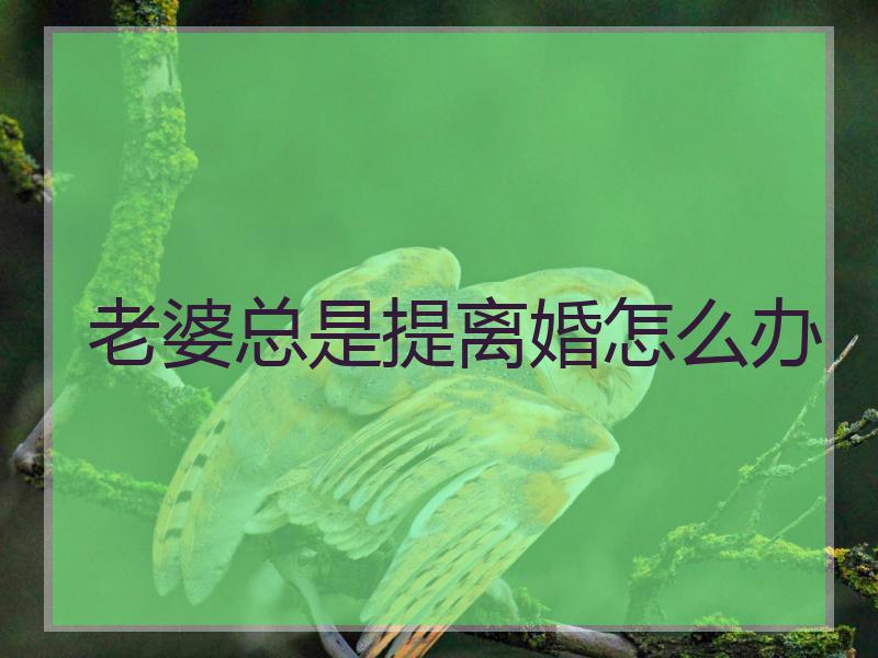 老婆总是提离婚怎么办