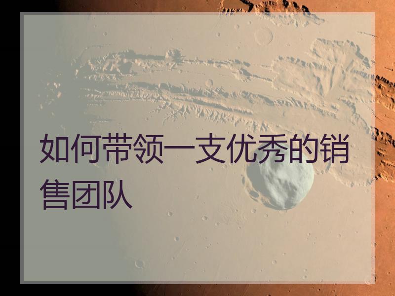 如何带领一支优秀的销售团队