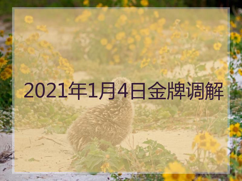 2021年1月4日金牌调解