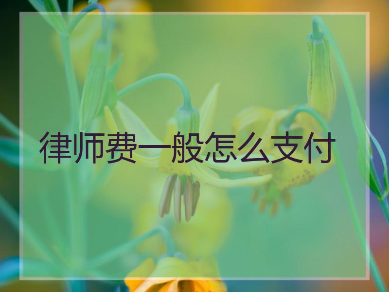 律师费一般怎么支付