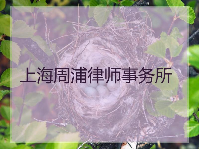 上海周浦律师事务所