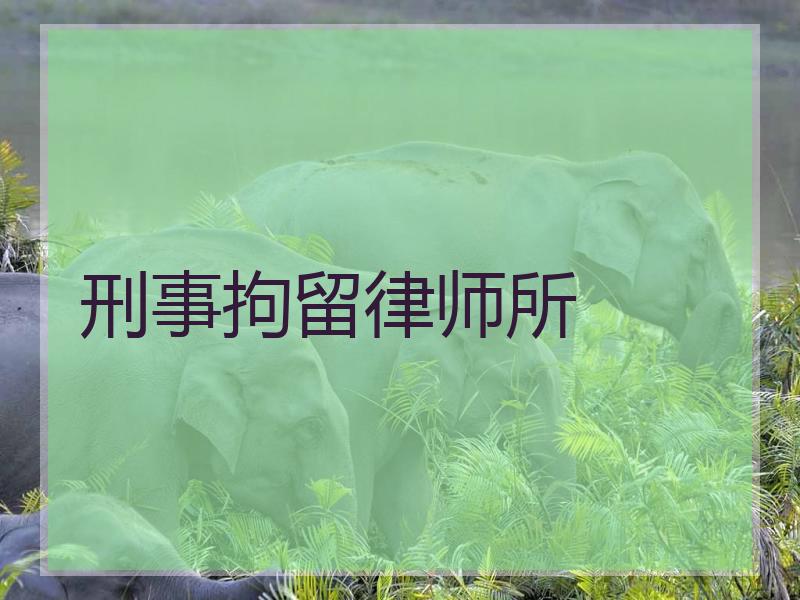 刑事拘留律师所