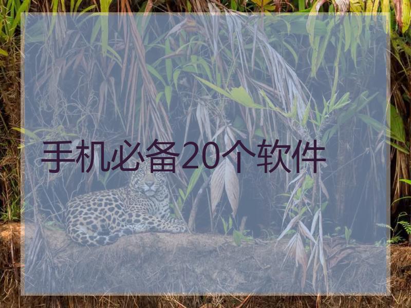 手机必备20个软件