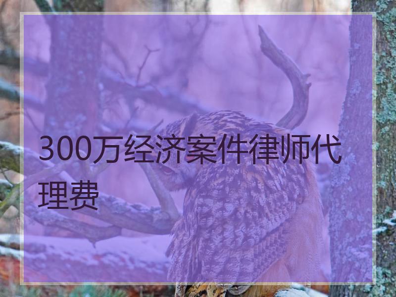 300万经济案件律师代理费