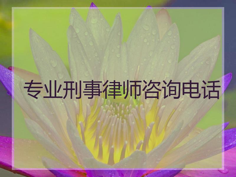 专业刑事律师咨询电话