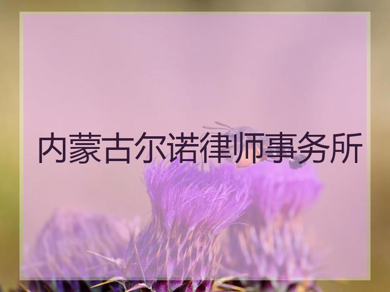 内蒙古尔诺律师事务所