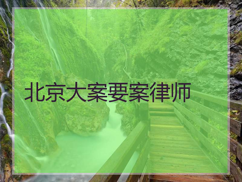 北京大案要案律师