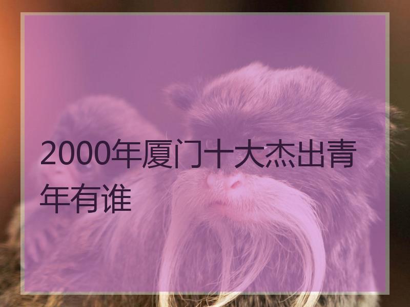 2000年厦门十大杰出青年有谁