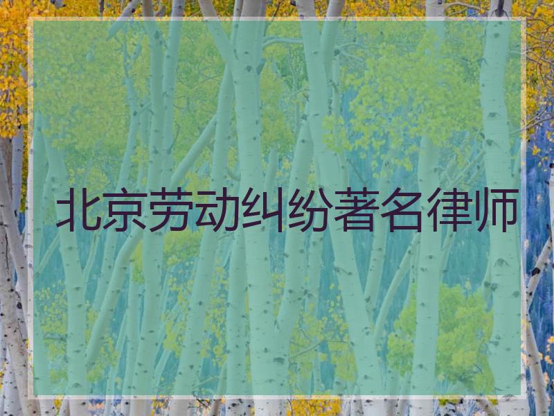 北京劳动纠纷著名律师