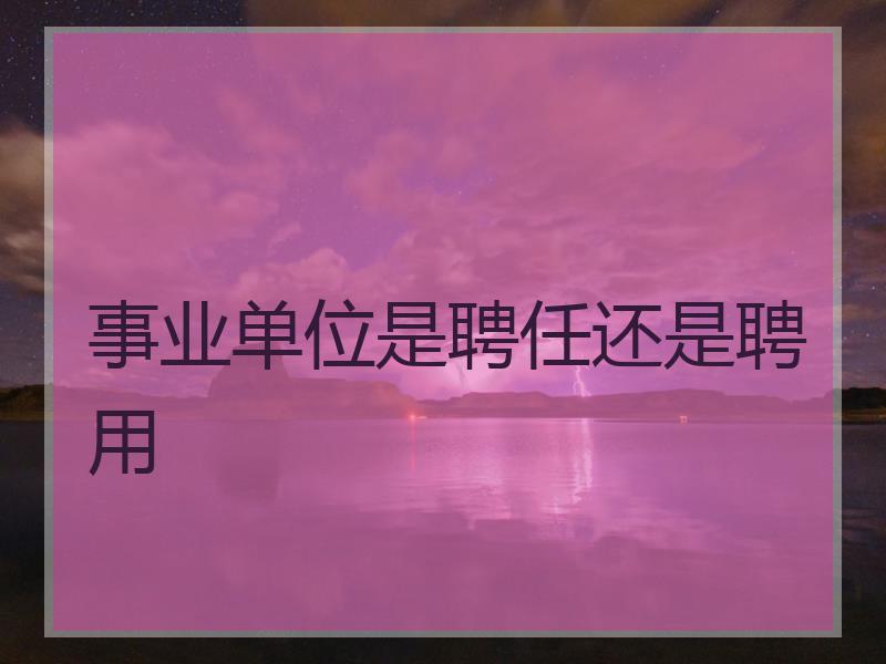 事业单位是聘任还是聘用