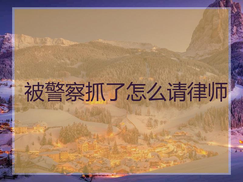 被警察抓了怎么请律师