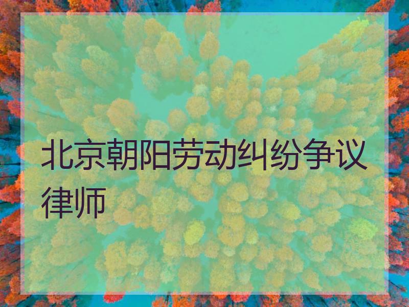 北京朝阳劳动纠纷争议律师