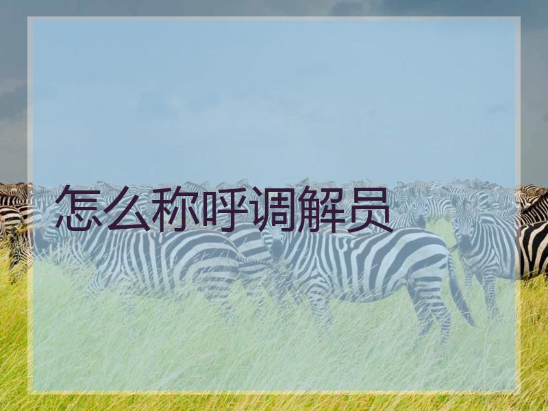 怎么称呼调解员