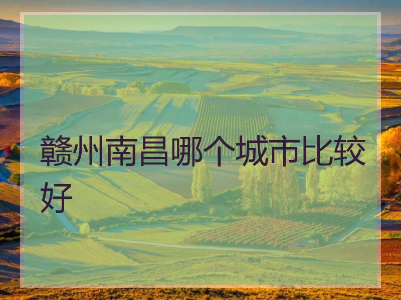 赣州南昌哪个城市比较好