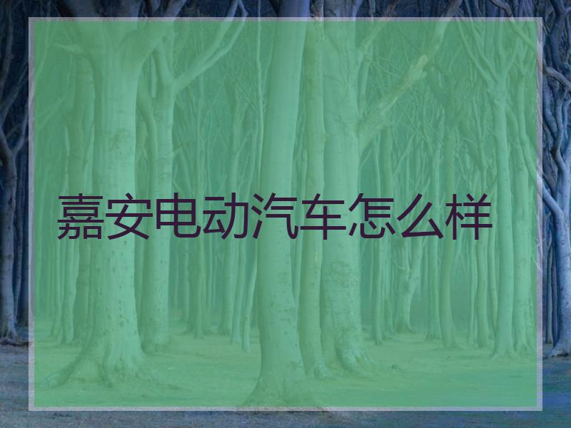 嘉安电动汽车怎么样
