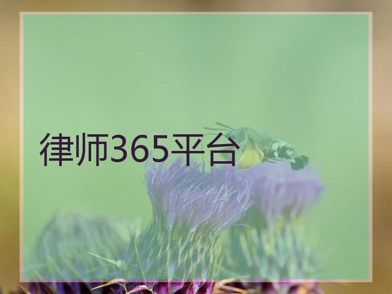 律师365平台