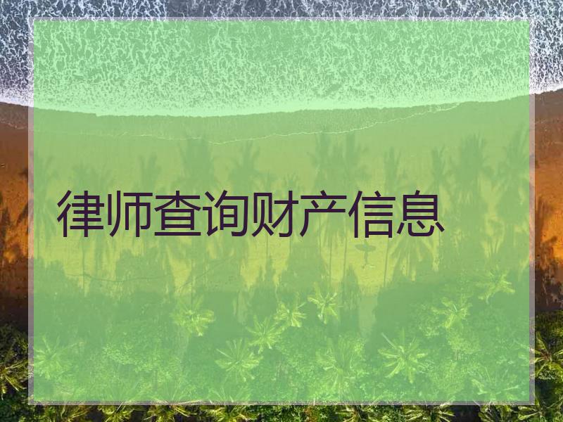 律师查询财产信息