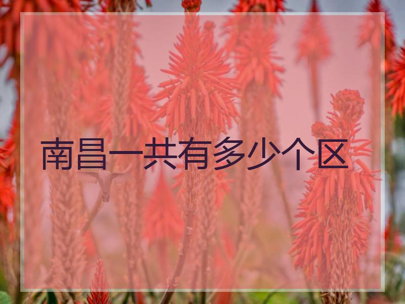 南昌一共有多少个区