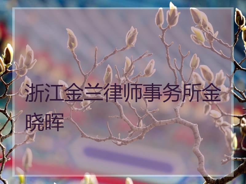 浙江金兰律师事务所金晓晖