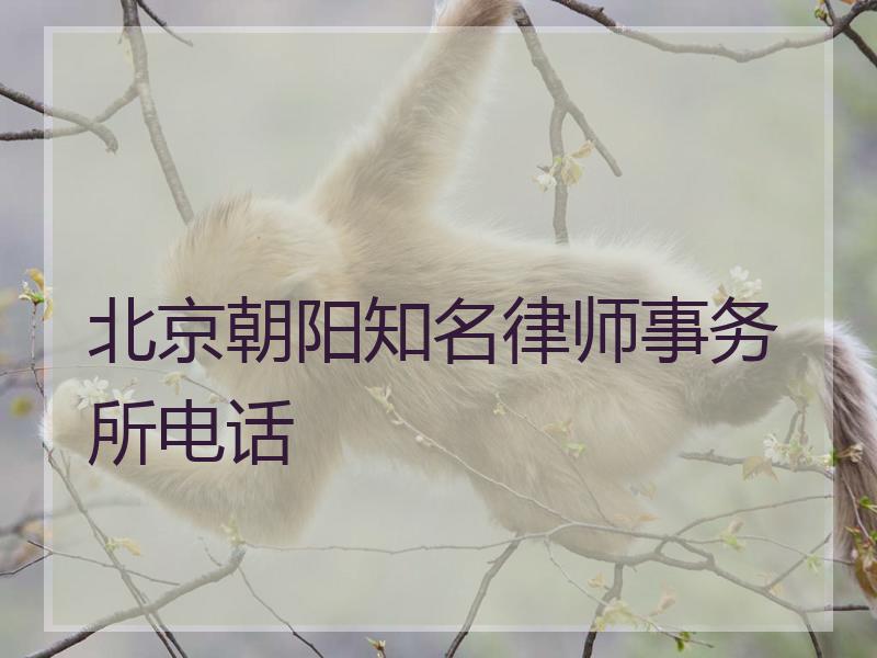 北京朝阳知名律师事务所电话