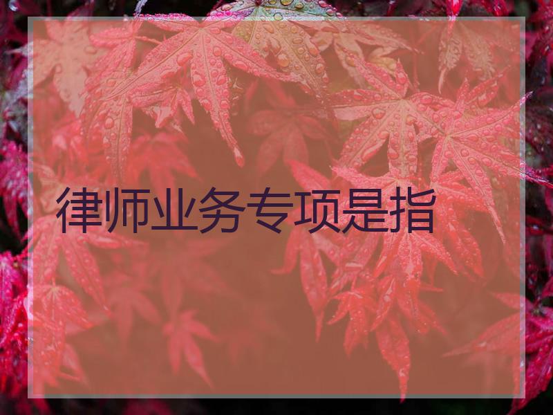 律师业务专项是指