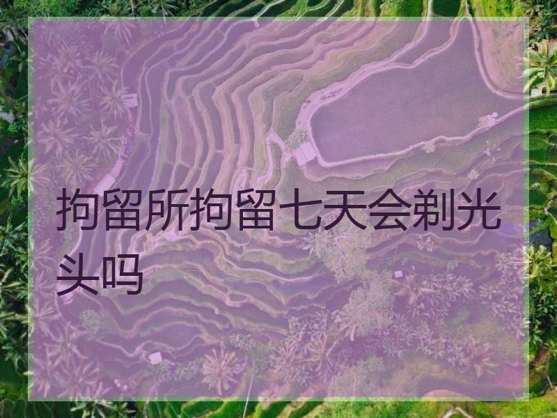 拘留所拘留七天会剃光头吗