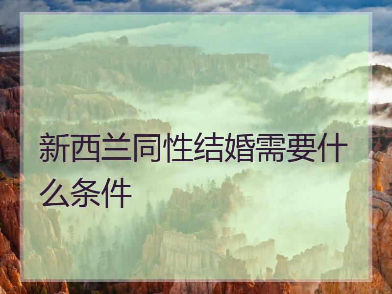 新西兰同性结婚需要什么条件