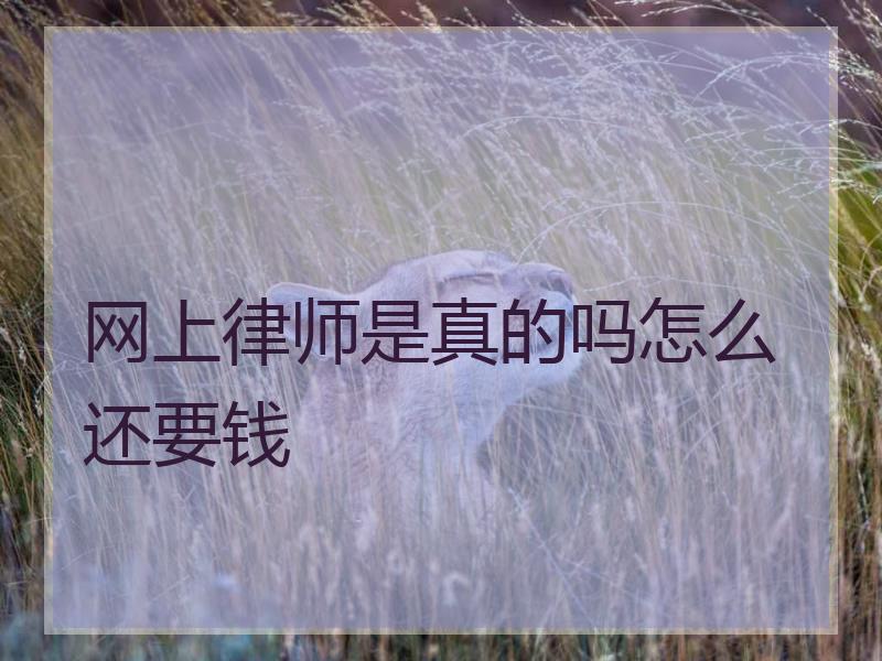 网上律师是真的吗怎么还要钱