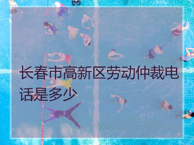 长春市高新区劳动仲裁电话是多少
