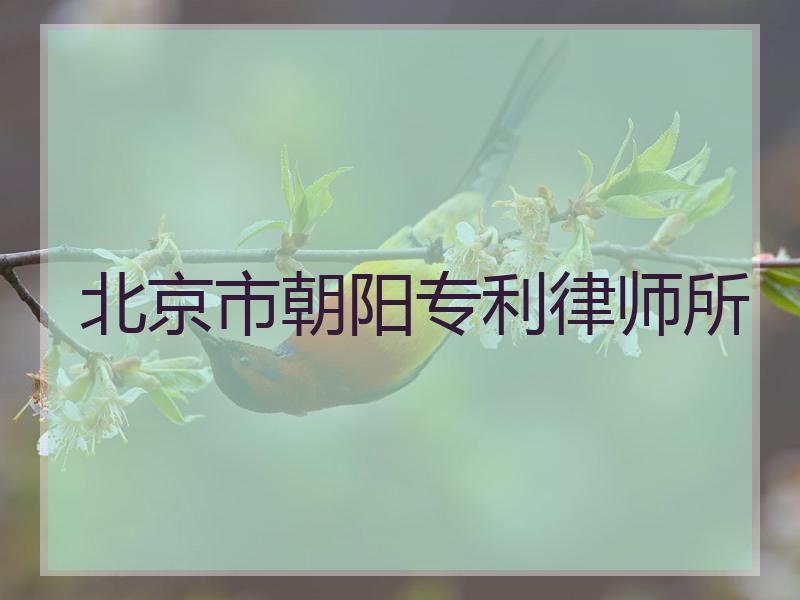 北京市朝阳专利律师所