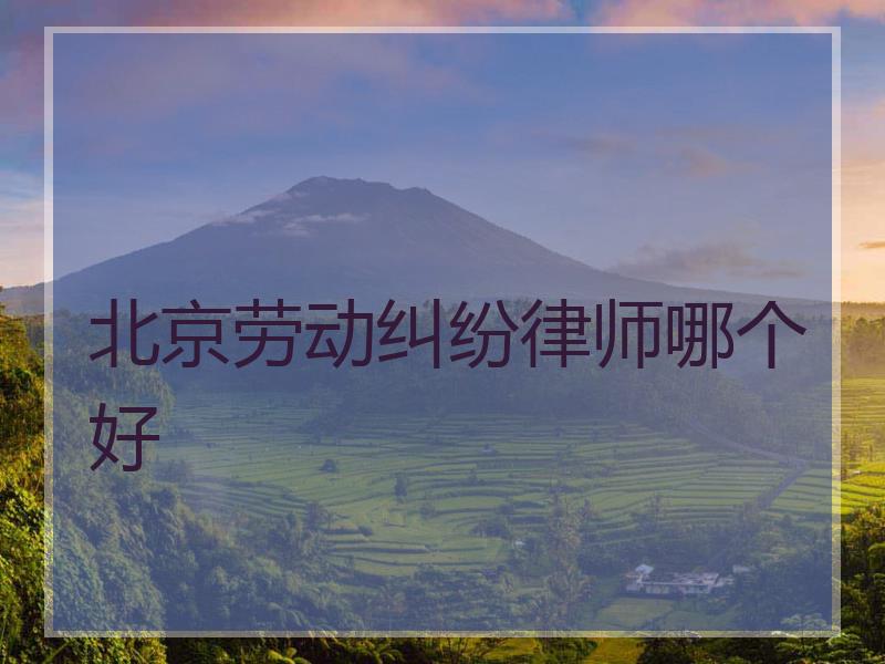 北京劳动纠纷律师哪个好