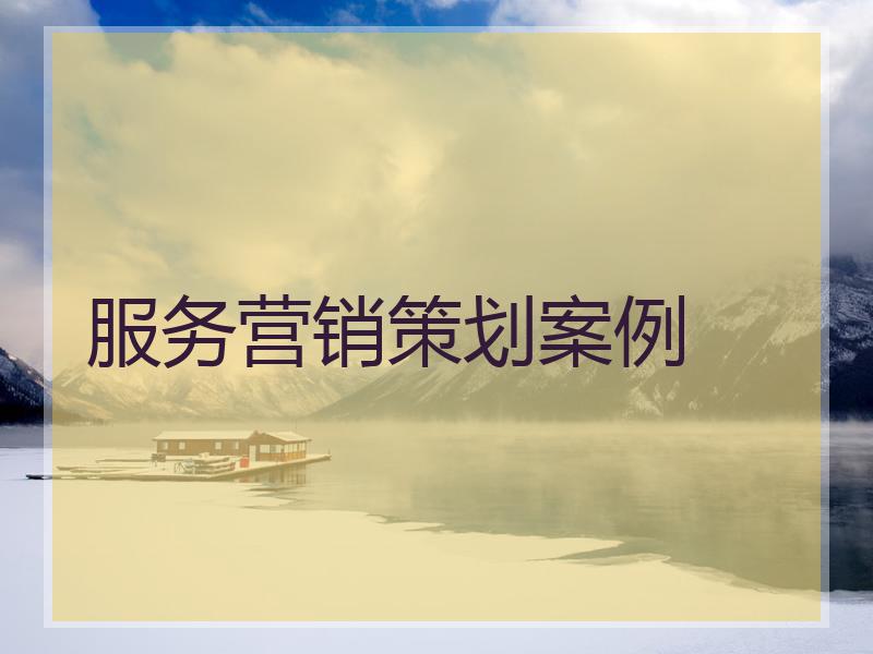 服务营销策划案例
