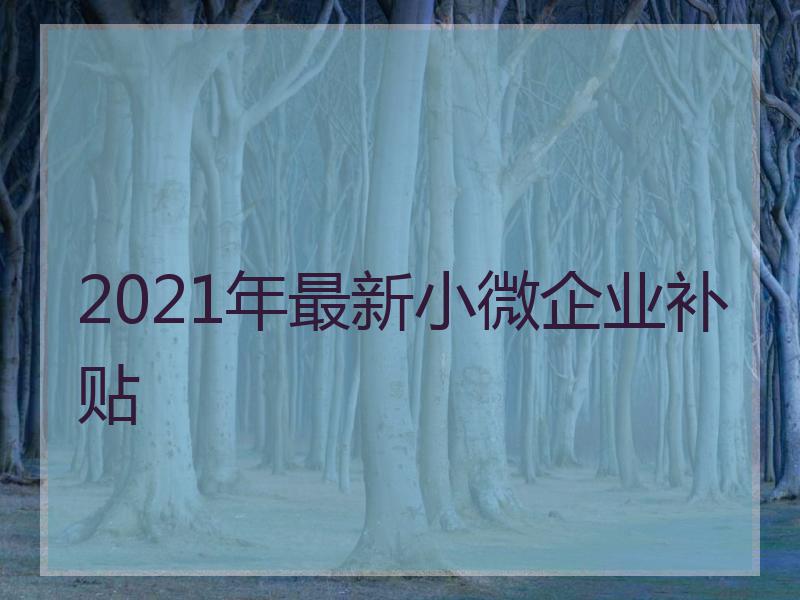 2021年最新小微企业补贴