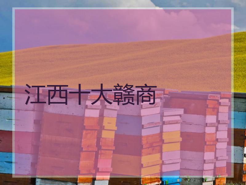 江西十大赣商