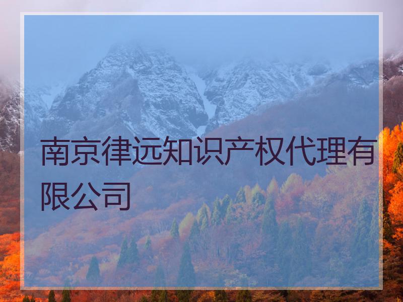 南京律远知识产权代理有限公司
