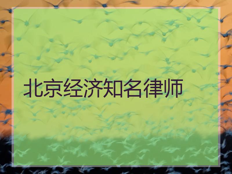 北京经济知名律师