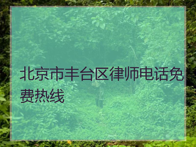 北京市丰台区律师电话免费热线