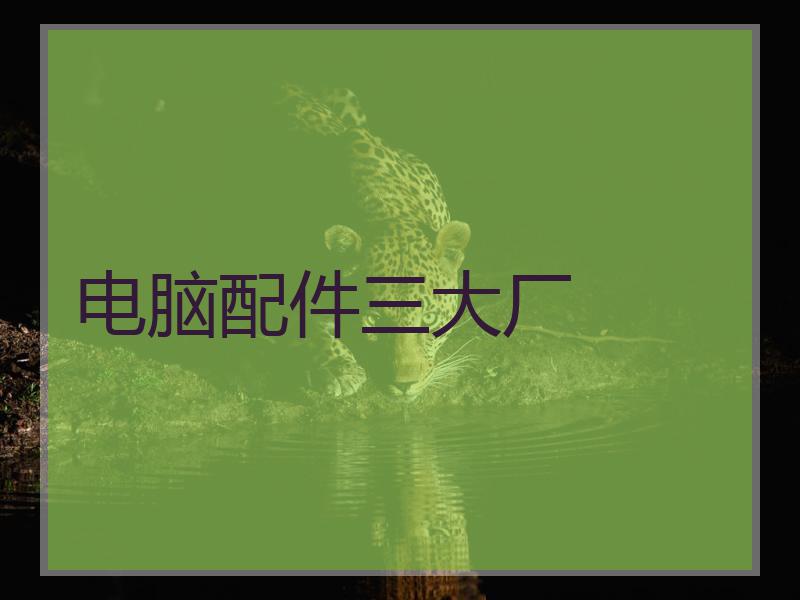 电脑配件三大厂