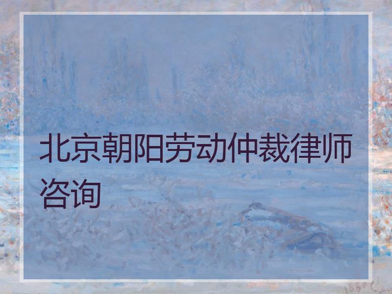 北京朝阳劳动仲裁律师咨询
