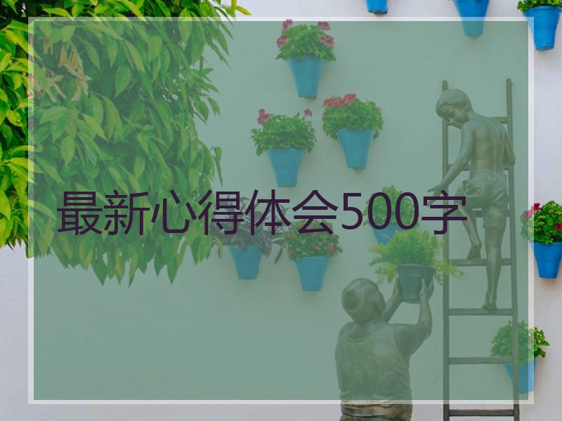 最新心得体会500字
