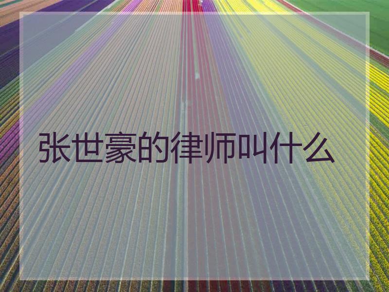 张世豪的律师叫什么