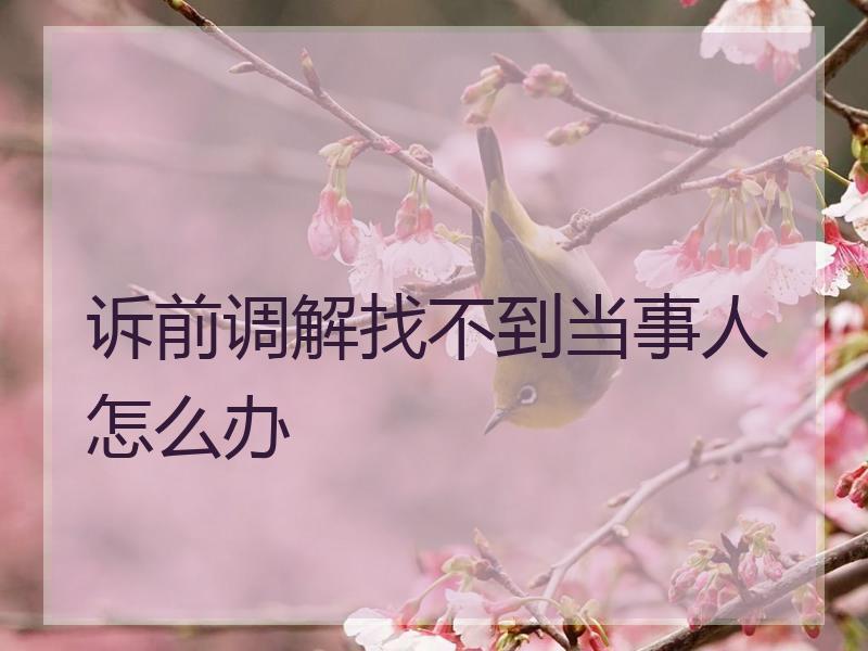 诉前调解找不到当事人怎么办