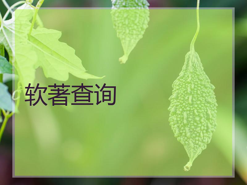 软著查询